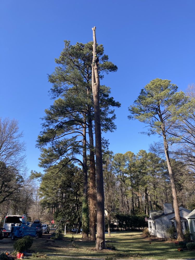 ARBORVA Updated September 2024 Request a Quote Richmond, Virginia