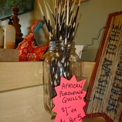 Unusual African Porcupine Quills.
