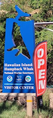 Hawaiian Islands Humpback Whale National Marine Sanctuary Visitor Center by null