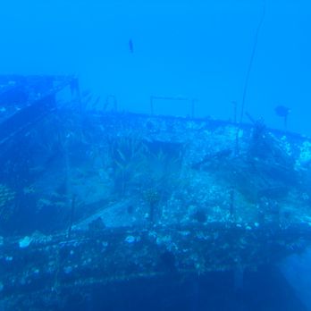 Atlantis Submarines - Tours Near Me - Lahaina, Hawaii Atlantis Submarines - Tours Near Me - Lahaina, Hawaii