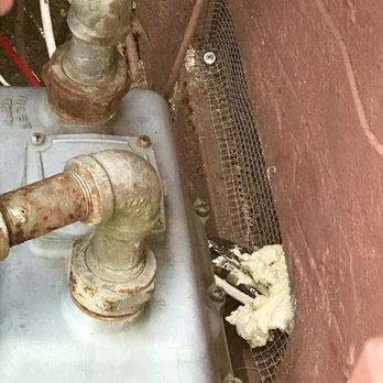 Precision Rodent Proofing - Pest Control Near Me