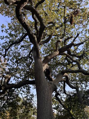 The Burying Point by null