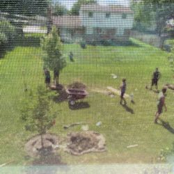 Steinkopf Nursery - Planting of new trees!!