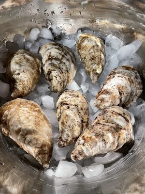 Crosby's Crab Company by null