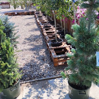 Gulley Greenhouse - Nurseries & Gardening Near Me - Fort Collins, Colorado Gulley Greenhouse - Nurseries & Gardening Near Me - Fort Collins, Colorado