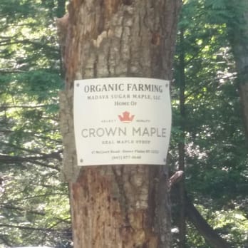 Crown Maple Syrup - Organic NYS Maple syrup? Yes please. - Specialty Food Near Me - Dover Plains, New York Crown Maple Syrup - Organic NYS Maple syrup? Yes please. - Specialty Food Near Me - Dover Plains, New York