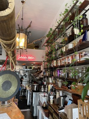 Beloved Cafe & Organic Juicery by null