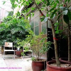 The Nail Library - The outside