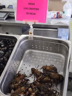 Santa Rosa Seafood Retail by null