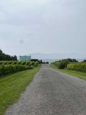 Ste-Pétronille - Winery & Cidery by null