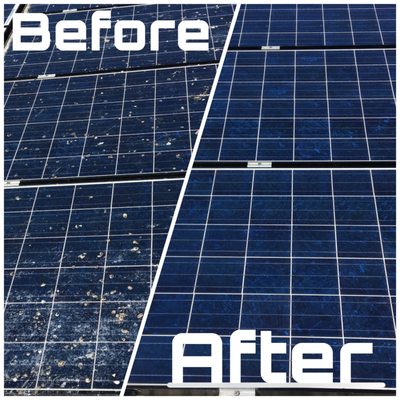 No Pressure Pressure Washing & Gutter Cleaning