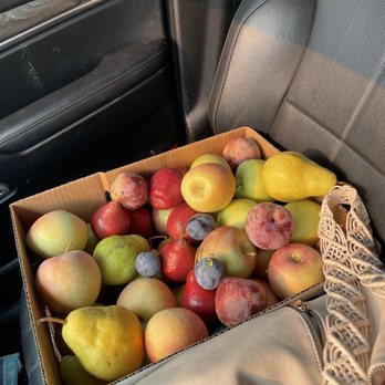 Stutzman Ranch - End of September fruit - Ranches Near Me - Wenatchee, Washington Stutzman Ranch - End of September fruit - Ranches Near Me - Wenatchee, Washington