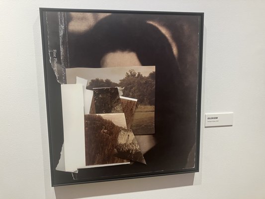 Museum of Contemporary Photography by null