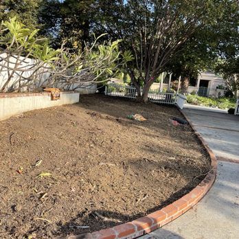 Jimmie's Tree Service - Tree Services Near Me