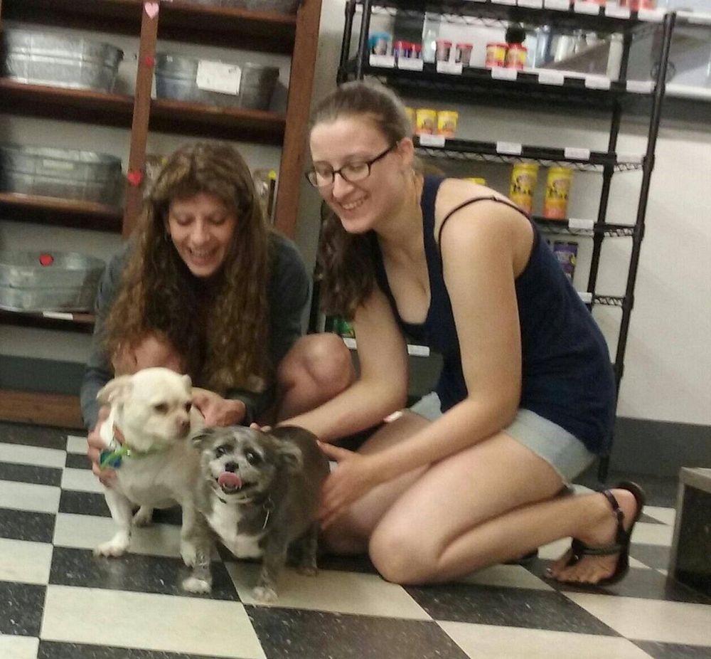 DAVE’S PETS & HOBBIES Updated October 2024 3249 Main St, Exmore