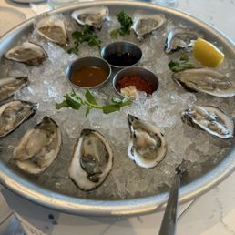 Oysters Oysters