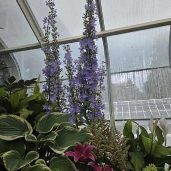 Volunteer Park Conservatory - Parks Near Me - Seattle, Washington Volunteer Park Conservatory - Parks Near Me - Seattle, Washington