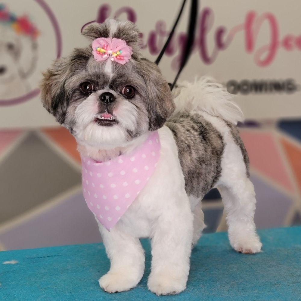 THE PURPLE DOODLE Updated August 2024 13 Photos 339 Morris Ave, Elizabeth, New Jersey