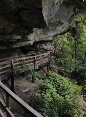Audra State Park by null