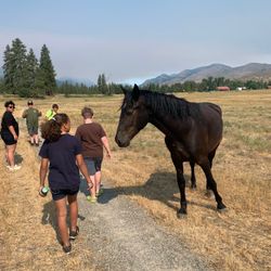Pearrygin Lake State Park - Trails with horses