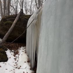 Zaleski State Forest