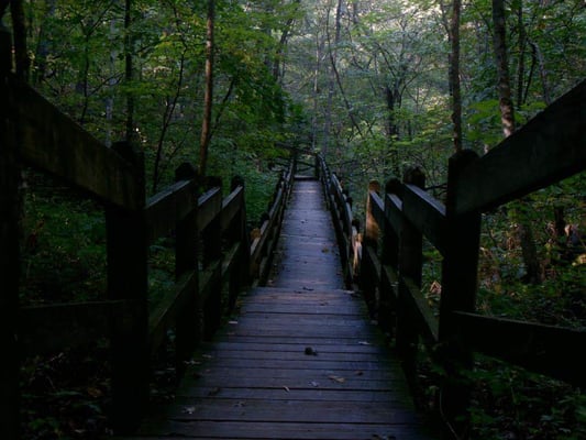 Rock Bridge Memorial State Park by null