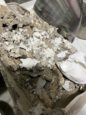 Bills Plumbing & Sewer Logo