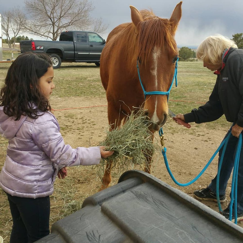 Rosie Mae Meadows Ranch - equestrian in Elizabeth, CO