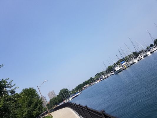 Belmont Harbor by null