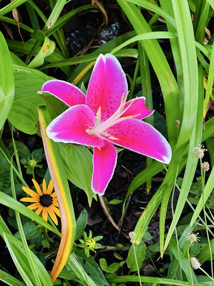 Sunset Lake Memorial Park Image