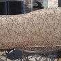 Photo of Thuro Clean Carpet & Upholstery