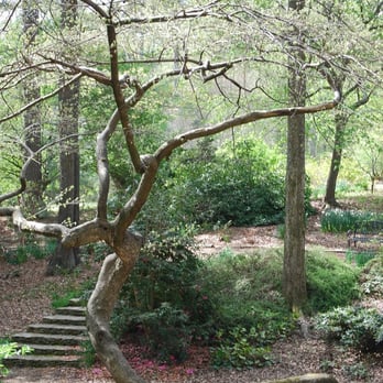 Smith-Gilbert Gardens - Crooked Tree - Botanical Gardens Near Me - Kennesaw, Georgia