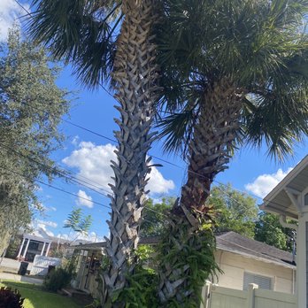 Jay's Quality Tree Service - Tree Services Near Me Jay's Quality Tree Service - Tree Services Near Me