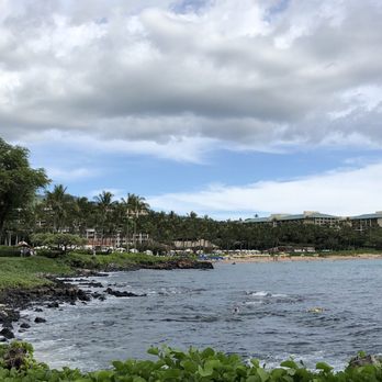 Whale's Tale - Coffee & Tea Near Me - Wailea, Hawaii Whale's Tale - Coffee & Tea Near Me - Wailea, Hawaii