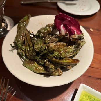 Terra Nova - Blistered Shishito Peppers Dinner - New American Near Me - Sewell, New Jersey