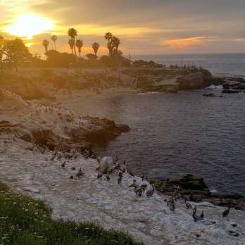 La Jolla Cove - Parks Near Me - La Jolla, California