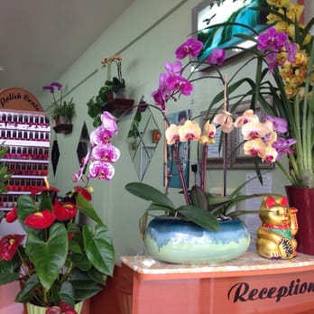 Sunshine Nails - They have orchids everywhere! - Nail Salons Near Me - San Francisco, California Sunshine Nails - They have orchids everywhere! - Nail Salons Near Me - San Francisco, California