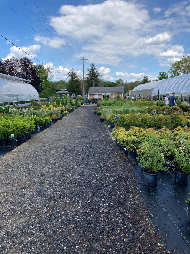 FLOWER POWER FARM Updated October 2024 56 Photos & 16 Reviews 126