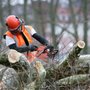 MACH Masonry & Landscaping