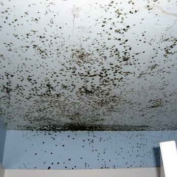 Oceanside Restoration - Mold Damage - Damage Restoration Near Me - Hyannis, Massachusetts