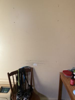 Driftwood Inn by null