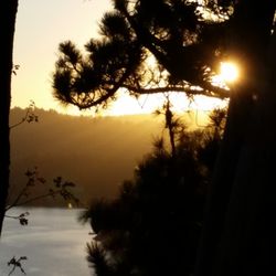Lake Arrowhead Car Services - Experts of the mountains and inclement weather. Let us transport you with safety and reliability.