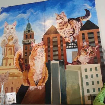Cat Town - Animal Shelters Near Me - Oakland, California Cat Town - Animal Shelters Near Me - Oakland, California