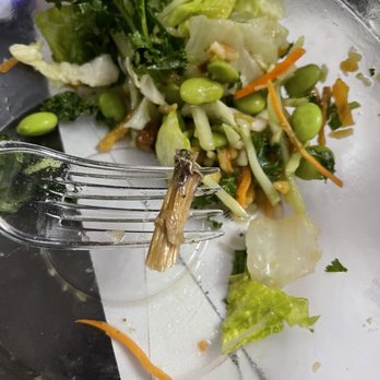Panera Bread - My Asian salad and I found this at the bottom. Disgusting! What is this! - Sandwiches Near Me - Fontana, California Panera Bread - My Asian salad and I found this at the bottom. Disgusting! What is this! - Sandwiches Near Me - Fontana, California