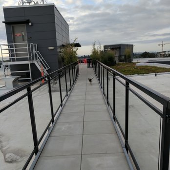 Session Apartments - Walkway from elevator room (Building to the left) to the dog area (behind me) - Apartments Near Me - Seattle, Washington Session Apartments - Walkway from elevator room (Building to the left) to the dog area (behind me) - Apartments Near Me - Seattle, Washington