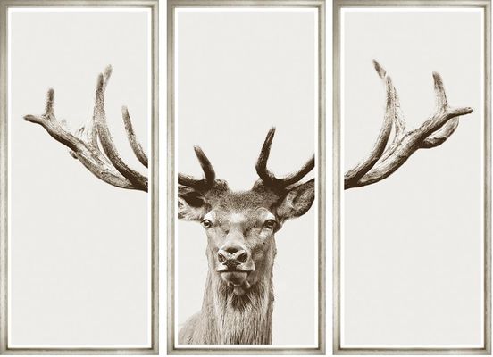 Evergreen Framing Co & Gallery