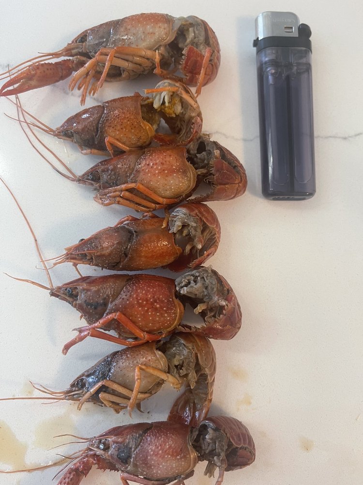 BOYD’S CAJUN GRILL EXPRESS Updated October 2024 58 Photos & 70