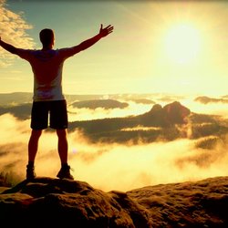 Freedom Chiropractic - Freedom Chiropractic