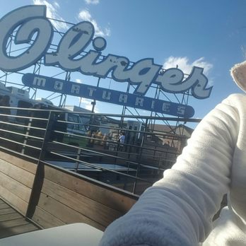 Linger - O linger sign, rooftop! - Asian Fusion Near Me - Denver, Colorado