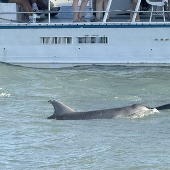Isla Tours - Boating Near Me - South Padre Island, Texas Isla Tours - Boating Near Me - South Padre Island, Texas